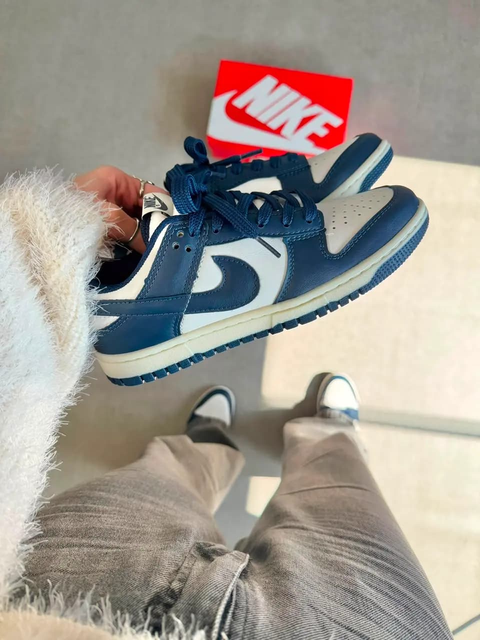 Nike Dunk SB Low Pro Azul Marinho Prime