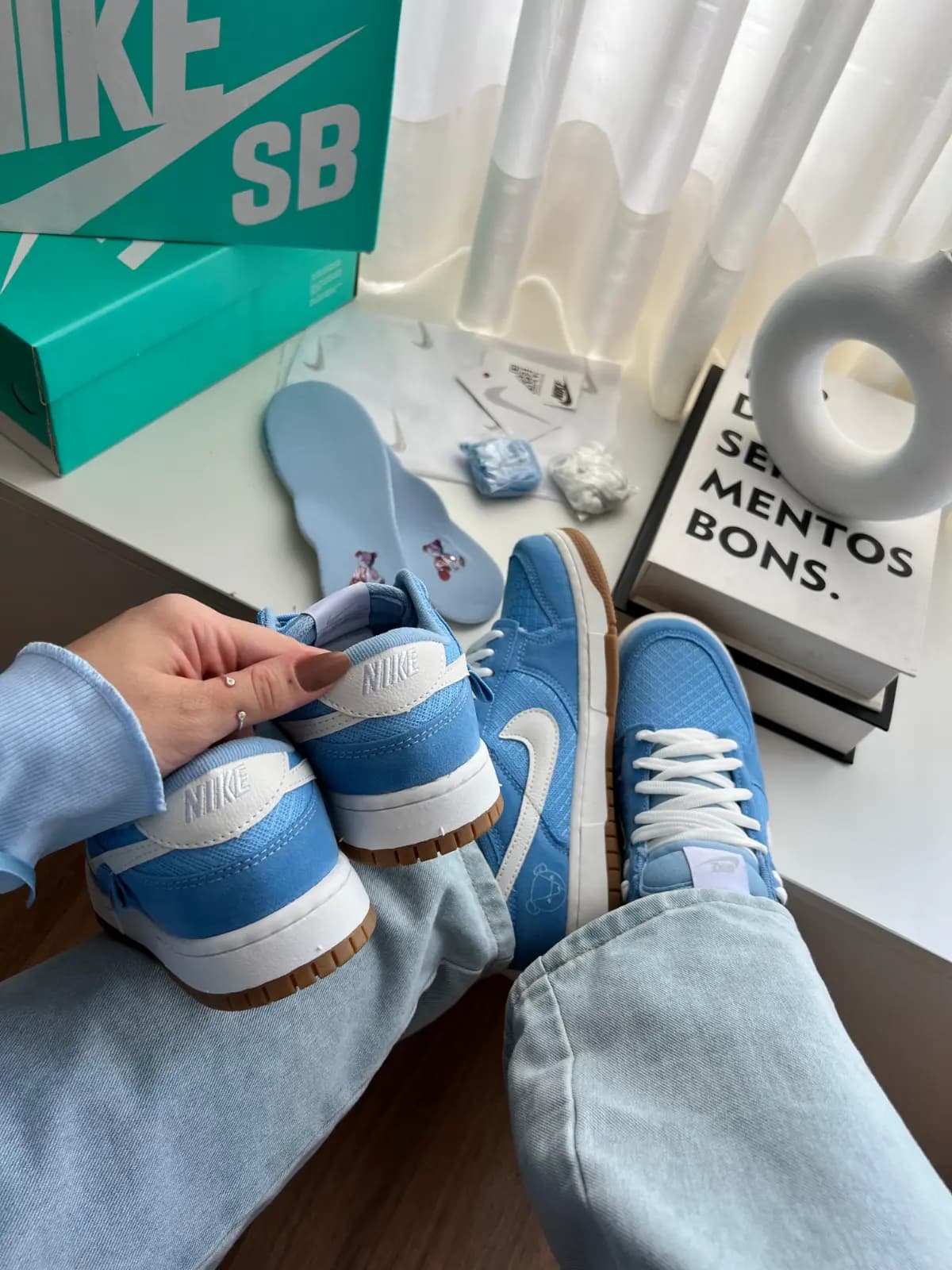 Nike Dunk SB Low Pro Teddy Azul Luxo